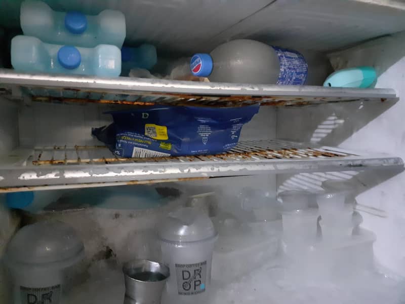 large size refrigerator 1