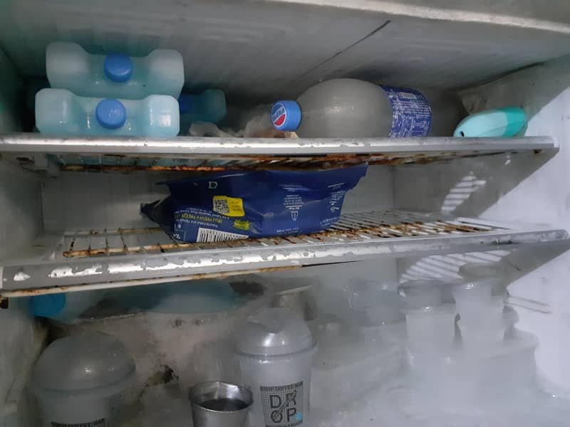 large size refrigerator 2