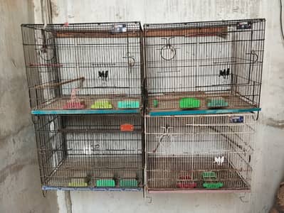 Breeding Cages for Birds (Lovebirds, Finches, Budgies)