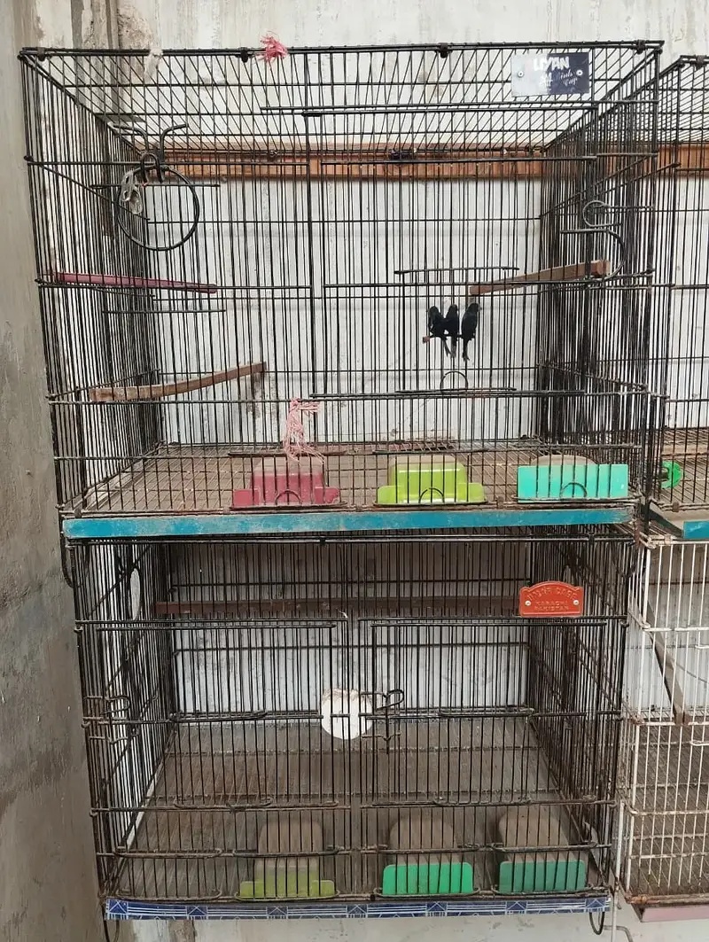 Breeding Cages for Birds (Lovebirds, Finches, Budgies) — photo 2
