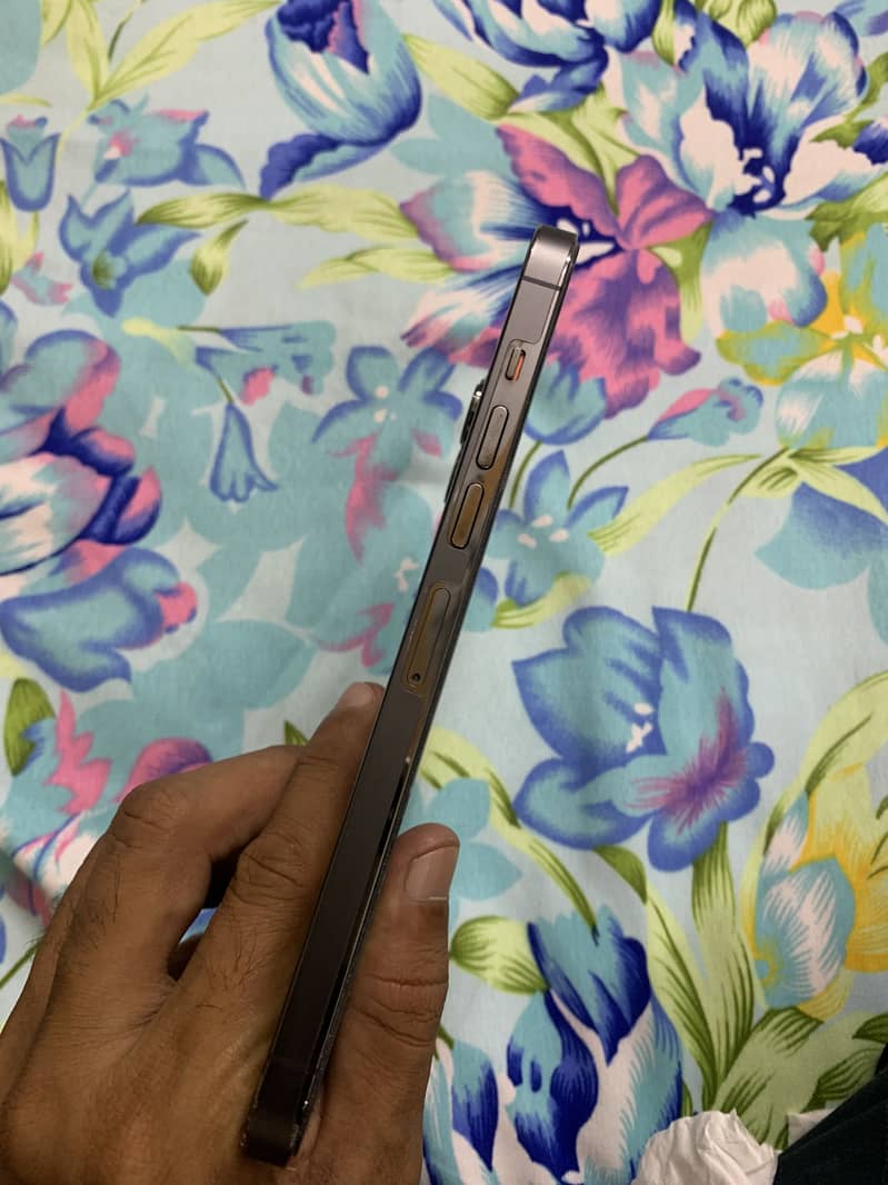 Apple iPhone 13 Pro Max 2