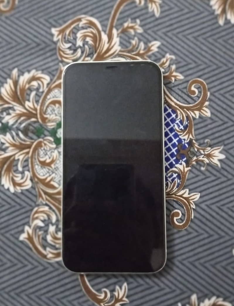 Apple iPhone 12 1