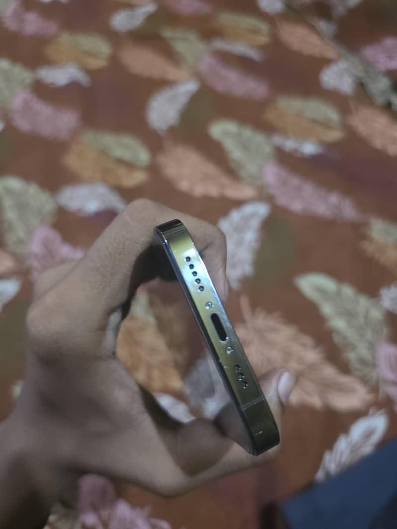Apple iPhone 13 Pro 2