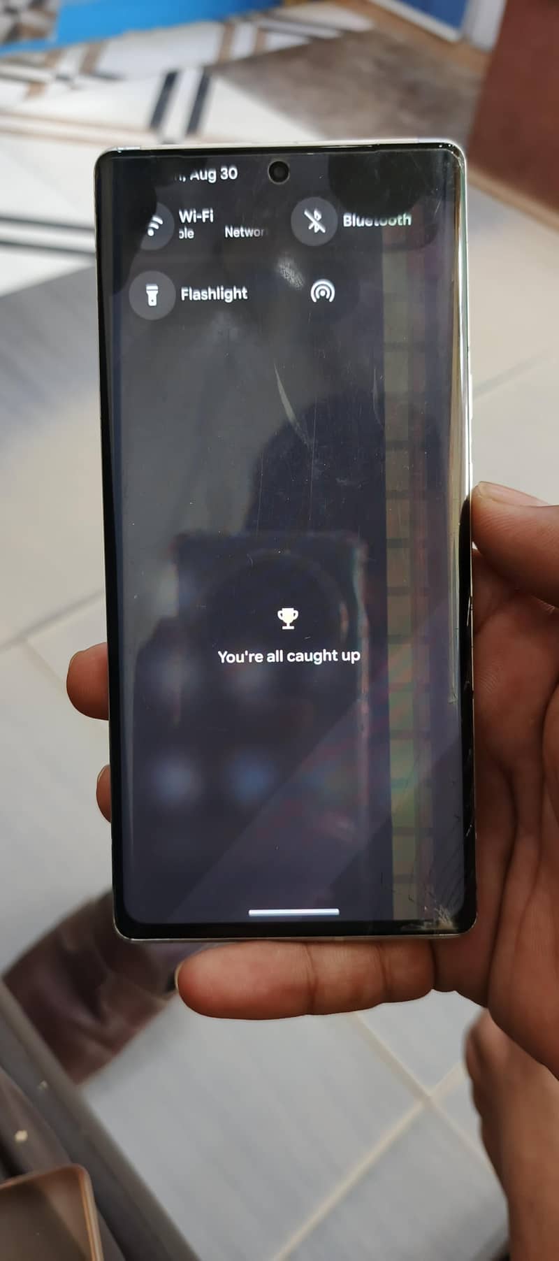 Google Pixel 6 pro 1