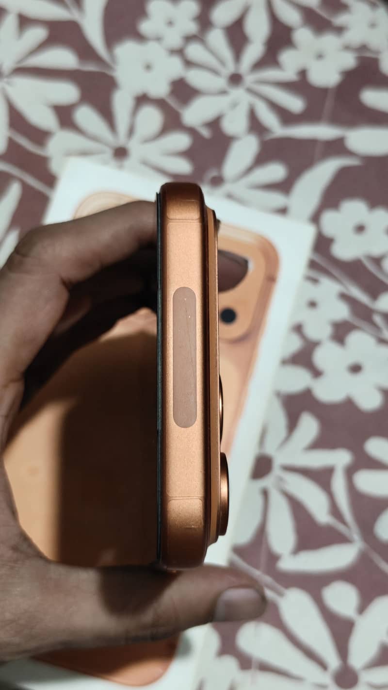 Apple iPhone 17 Pro Max 5