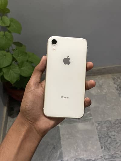 Apple iPhone XR