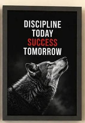 Premium Frames 5