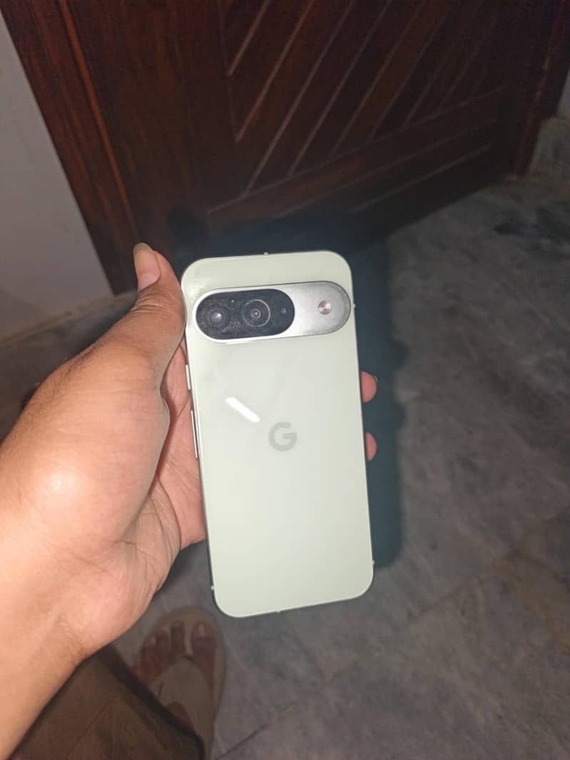 Google Pixel 9 1