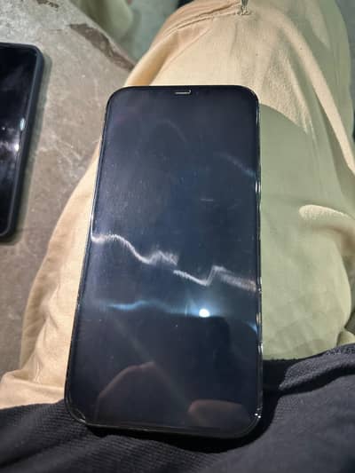 Apple iPhone 12 Pro Max