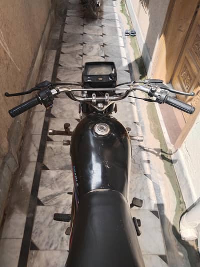 Black Beauty Lush Bike