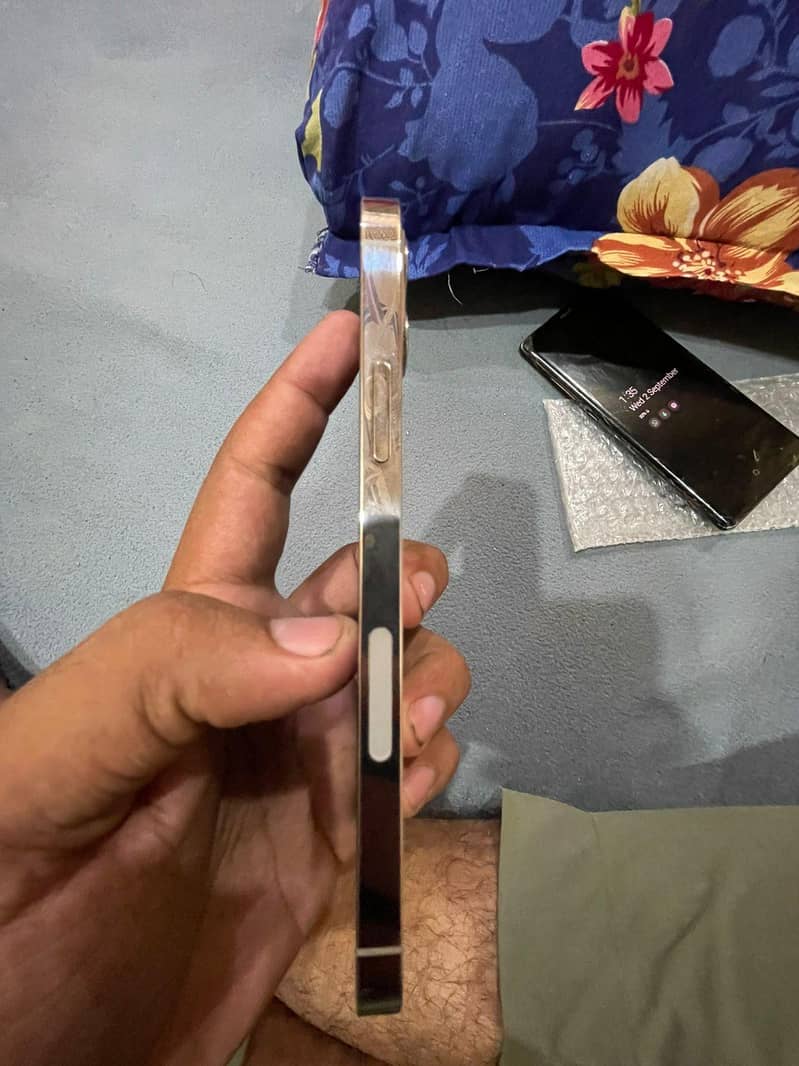 Apple iPhone 12 Pro 1