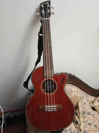 eureka concert ukulele