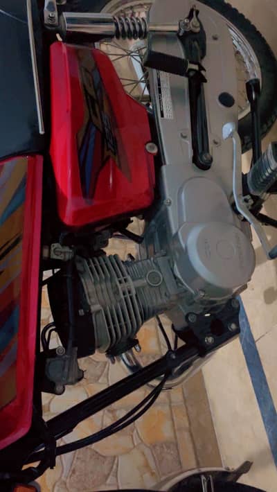 18 Model haai Neat n Clean