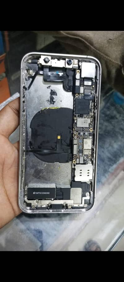 Apple iPhone XR