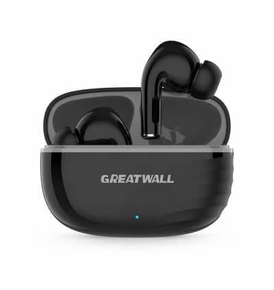 Earbuds