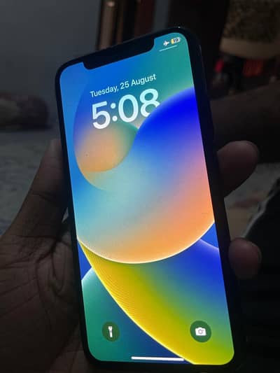Apple iPhone X