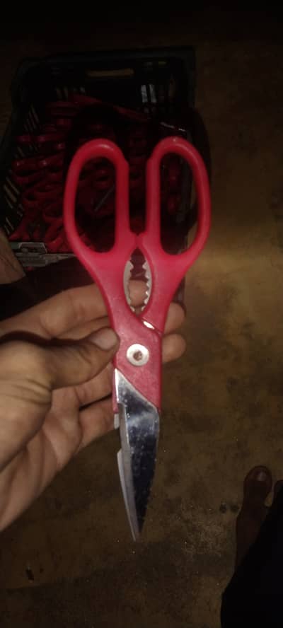 Sesisor for sale