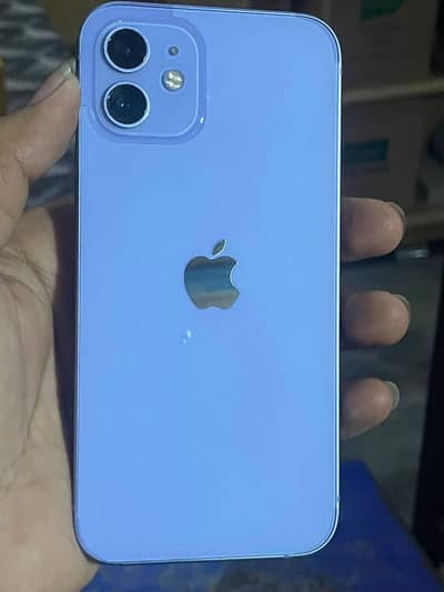 Apple iPhone 12 Simple