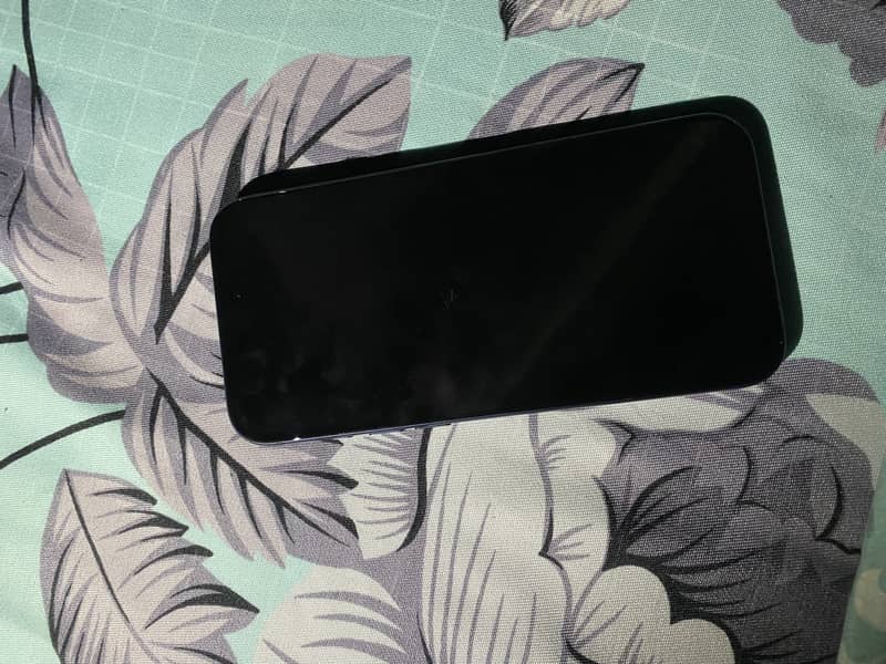 Apple iPhone 17 Pro Max 0