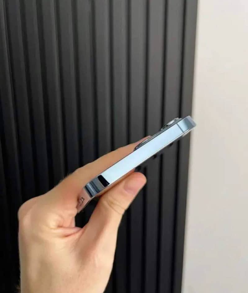 Apple iPhone 13 Pro Max 0