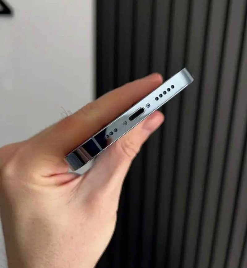 Apple iPhone 13 Pro Max 1