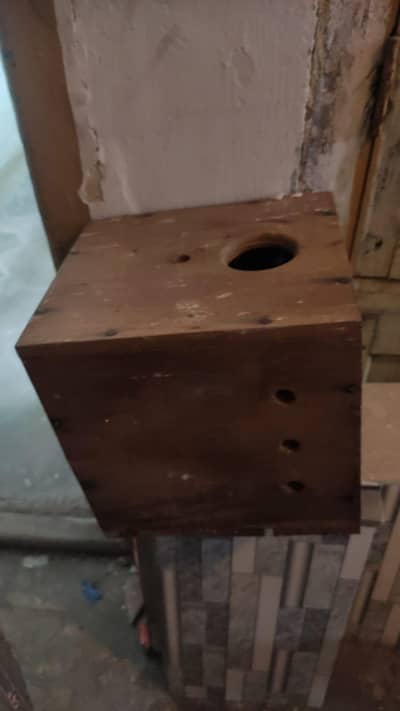 Birds breeding box for urgent sale