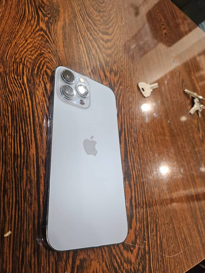 Apple iPhone 13 Pro Max 1