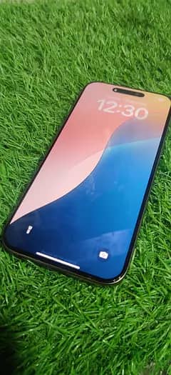 Apple iPhone 16 Pro Max 2