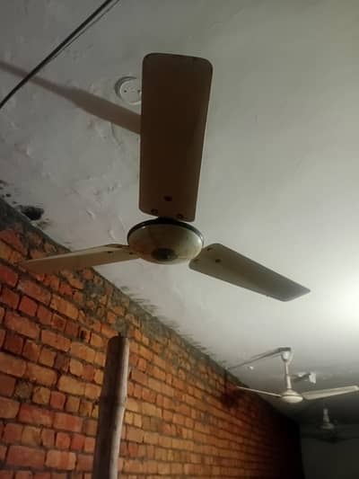celing fan