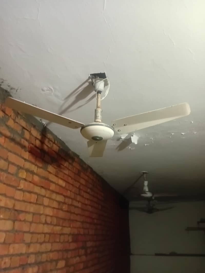 celing fan 1