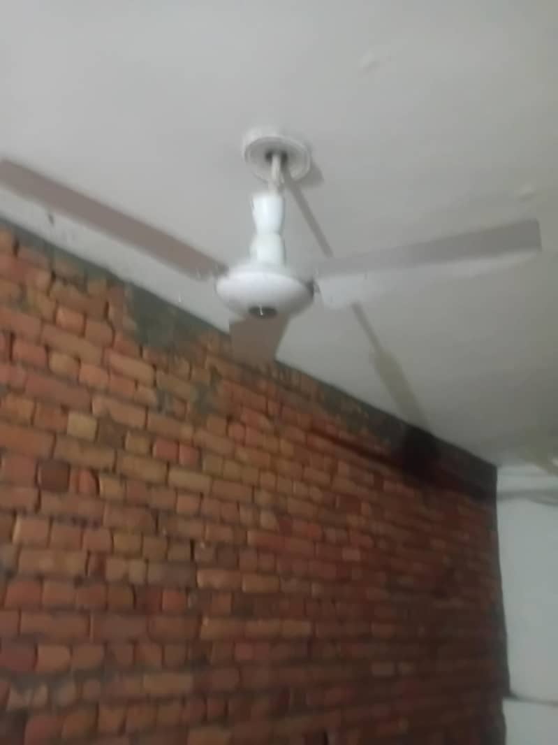 celing fan 2