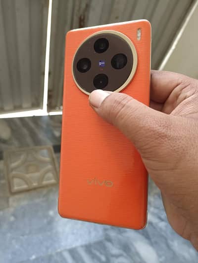 Vivo X100 12+12/256/NoNpta only set hi