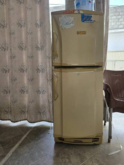 Pel medium size
