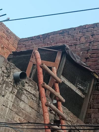 hens keje