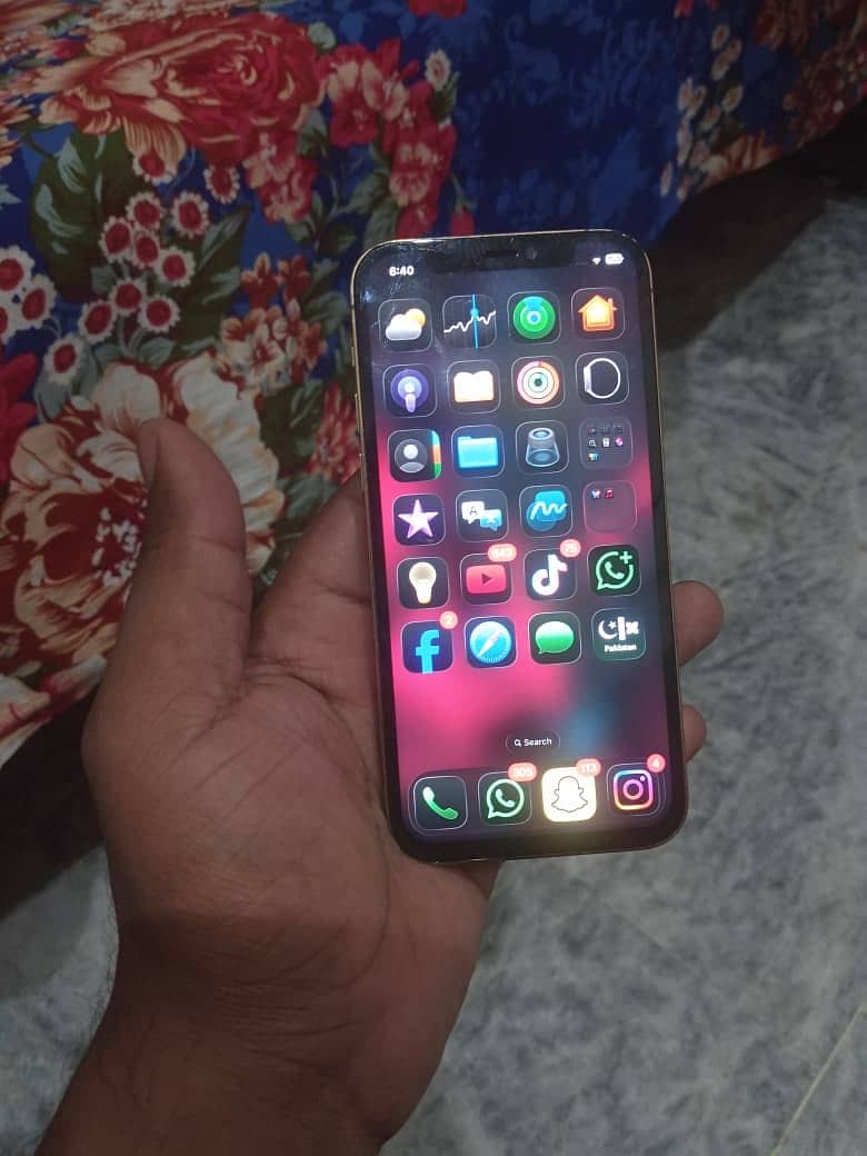Apple iPhone 12 Pro 1