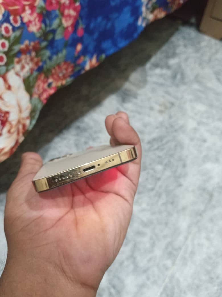 Apple iPhone 12 Pro 2