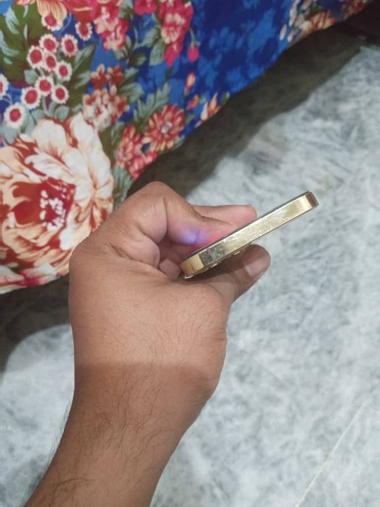 Apple iPhone 12 Pro 4
