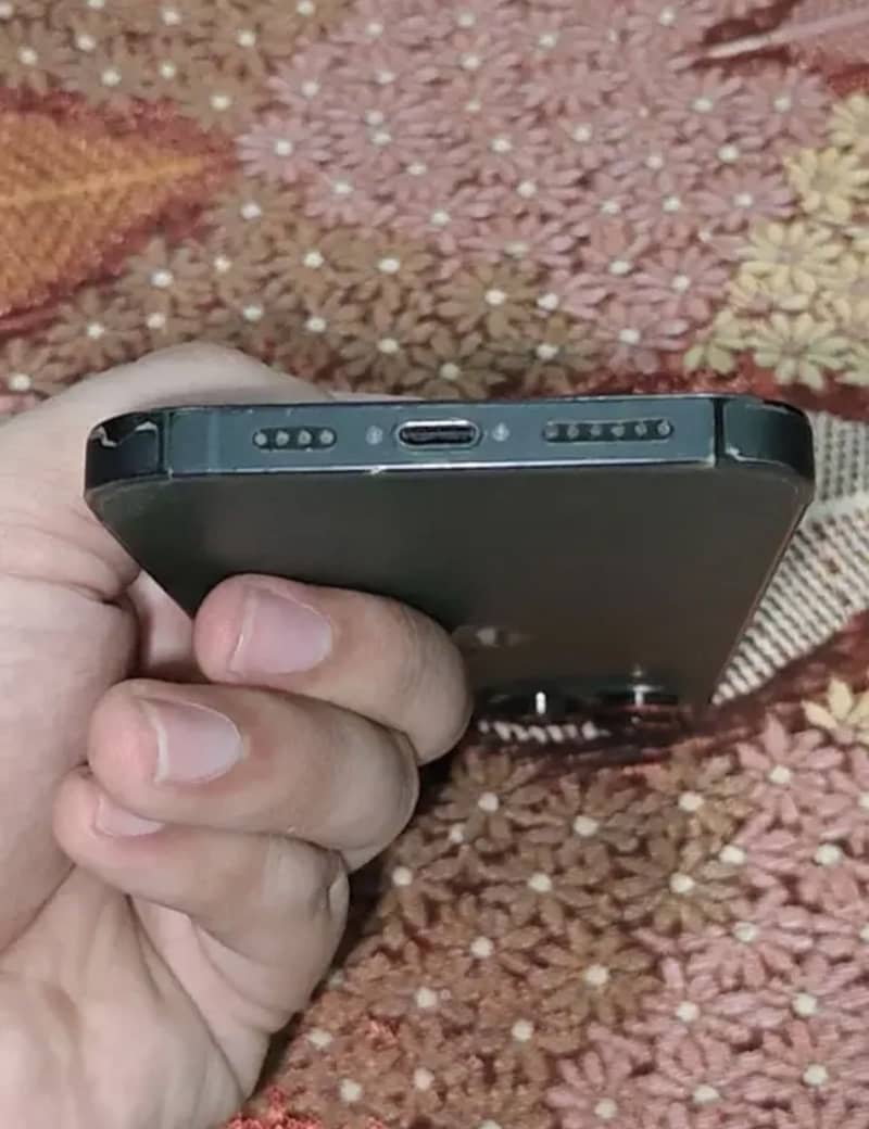 Apple iPhone 13 Pro Max 1