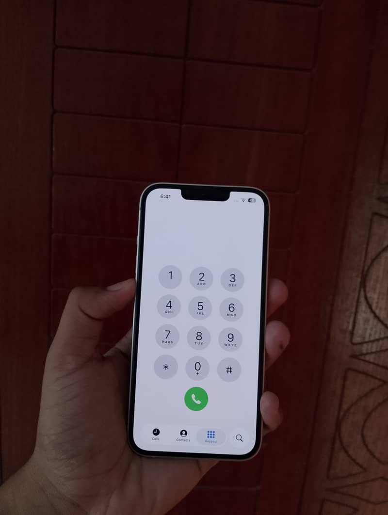 Apple iPhone 13 1