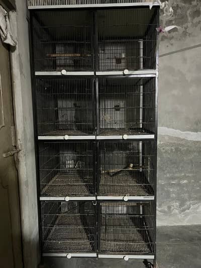 cage for birds or hen