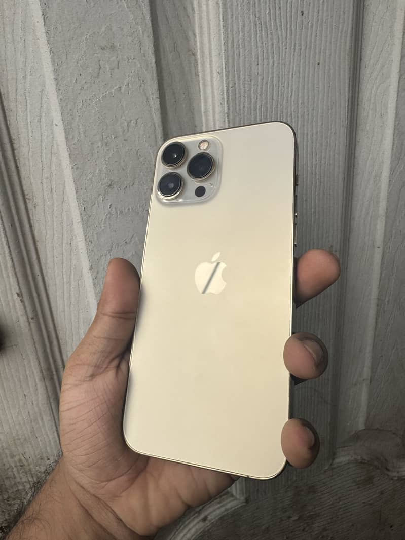 Apple iPhone 13 Pro Max 0