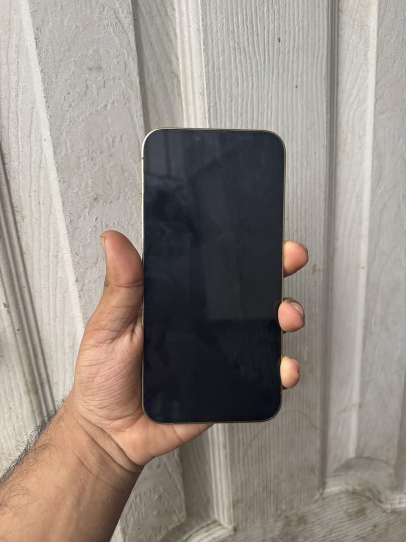 Apple iPhone 13 Pro Max 1
