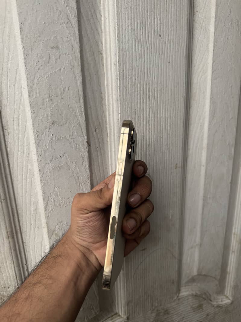 Apple iPhone 13 Pro Max 2