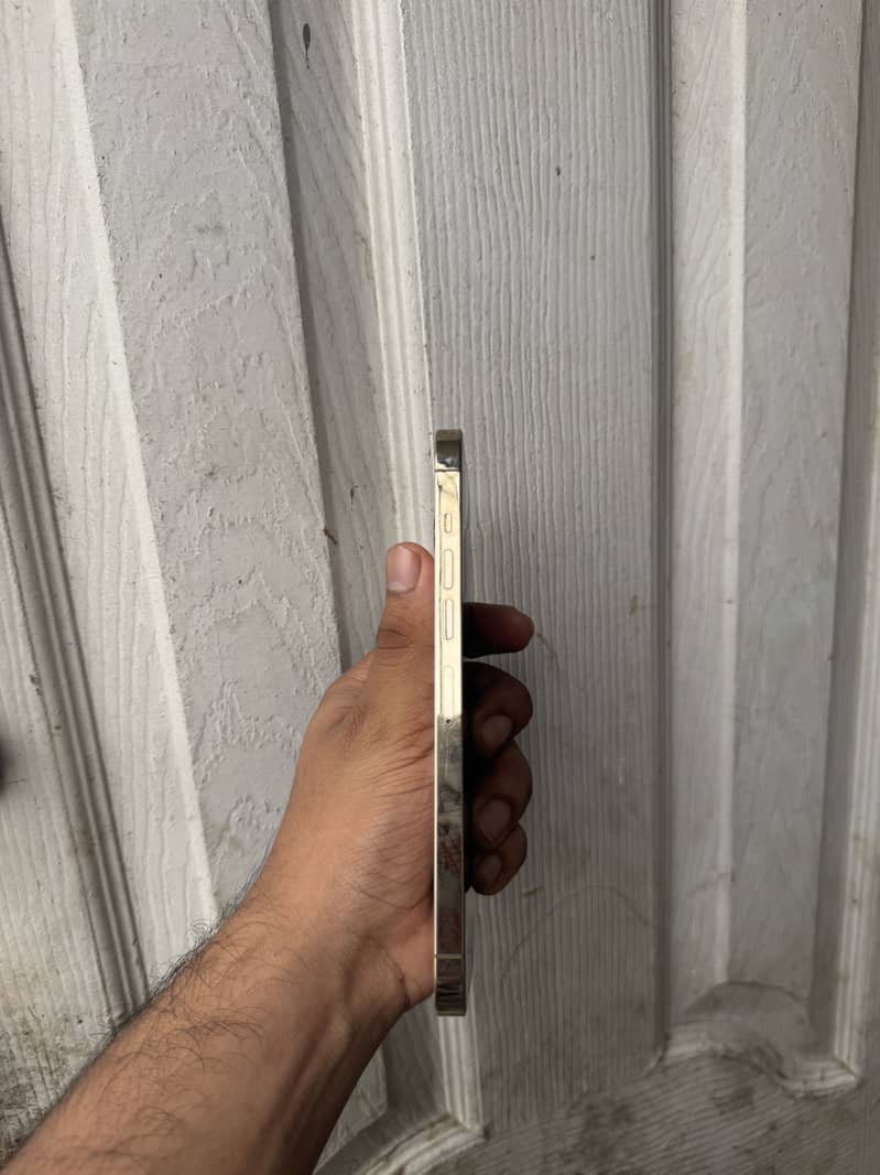 Apple iPhone 13 Pro Max 3