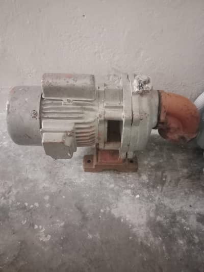 single impeller Golden Pump For Sale