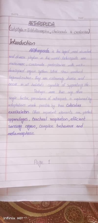 assignments work written