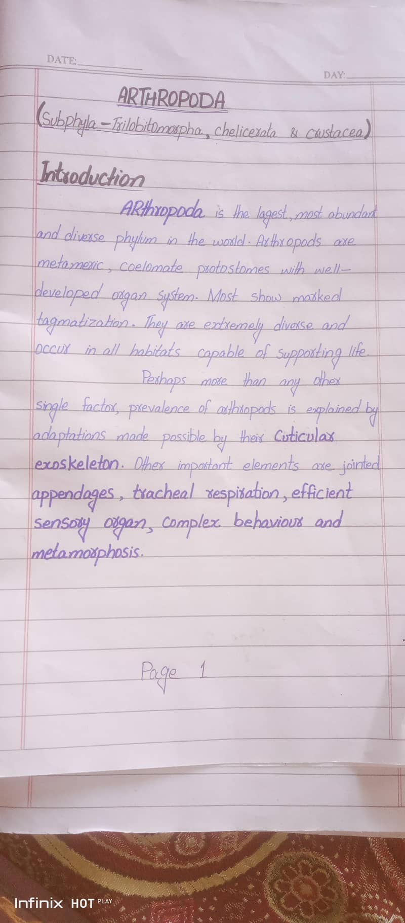 assignments work written 0