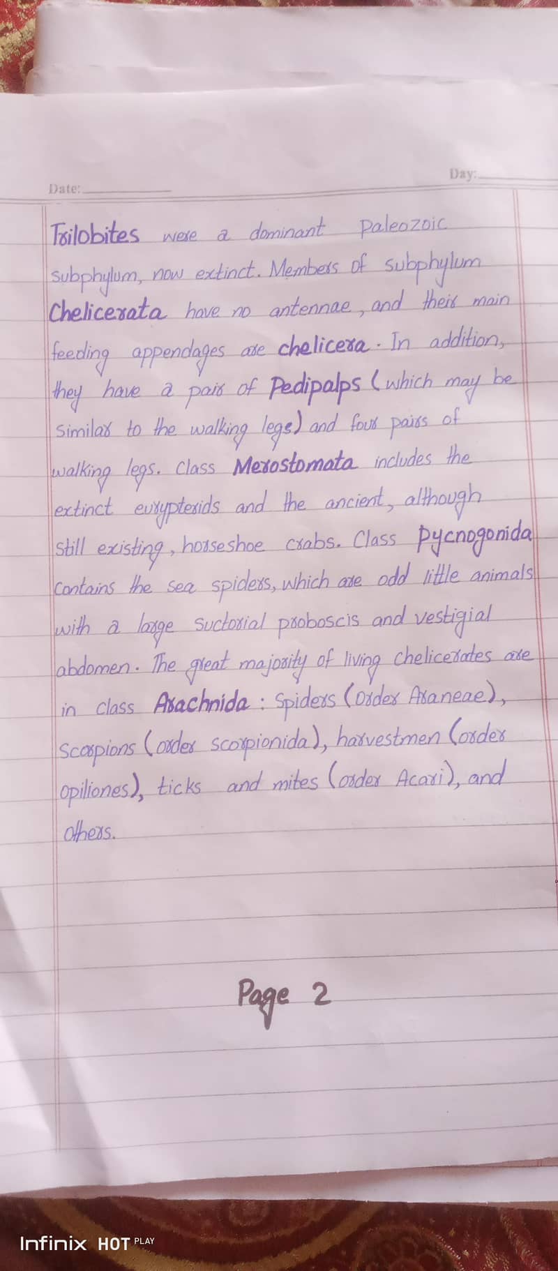 assignments work written 1