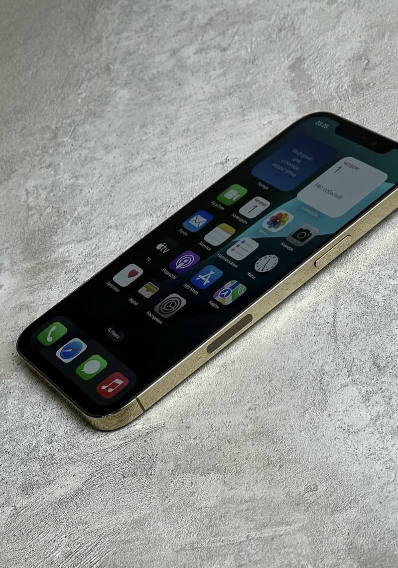 Apple iPhone 12 Pro Max 1