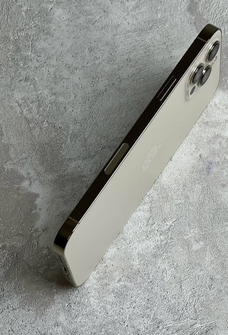 Apple iPhone 12 Pro Max 2